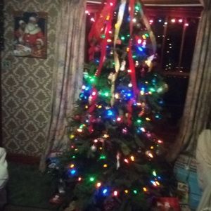 Meet your Posher, Jodie